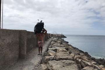 Limpieza de la escollera sur del muelle de Taliarte (Foto Pedro Martel/Wendy Cruz)